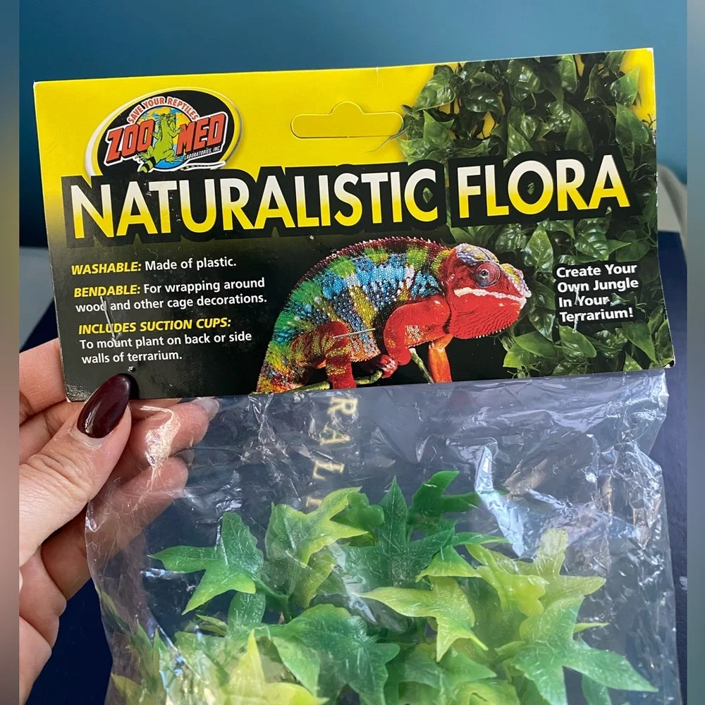 zoo med naturalistic flora - congo Ivy
